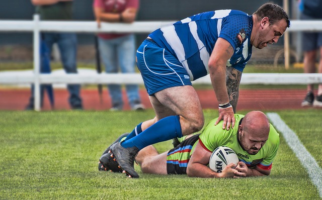 的完美结合 的完美结合